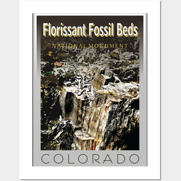 Florissant Fossil Beds Stamp Wall Art by Northofthepines